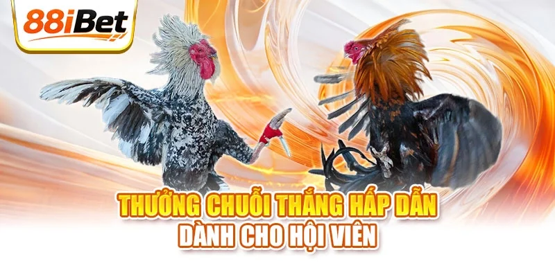 Thưởng chuỗi thắng hấp dẫn dành cho hội viên