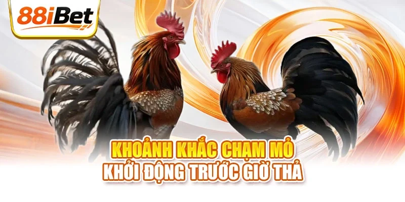 Khoảnh khắc chạm mỏ khởi động trước giờ thả