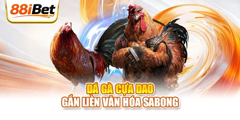 Đá gà cựa dao gắn liền văn hóa sabong