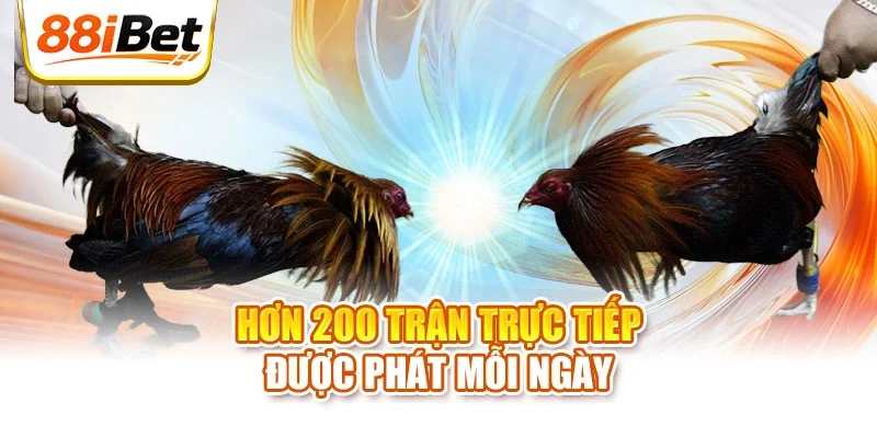 Hơn 200 trận trực tiếp được phát mỗi ngày