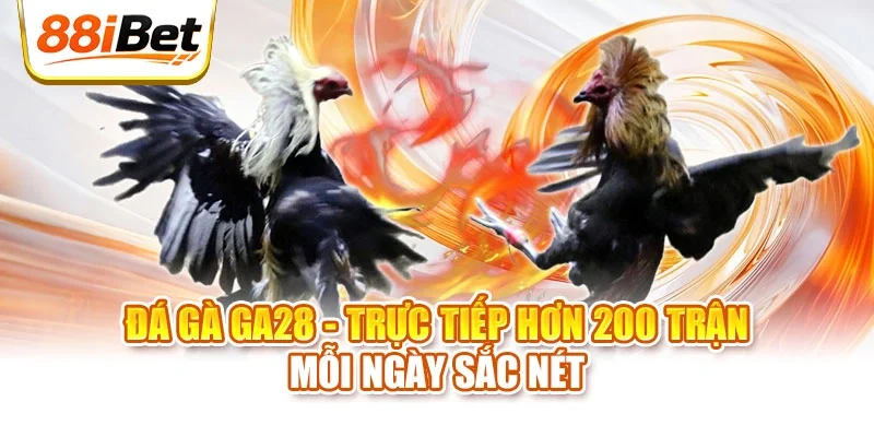 Đá gà GA28