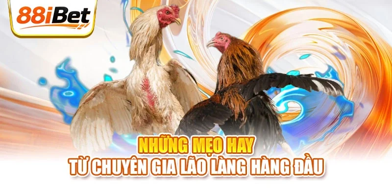 Những mẹo hay từ chuyên gia lão làng hàng đầu