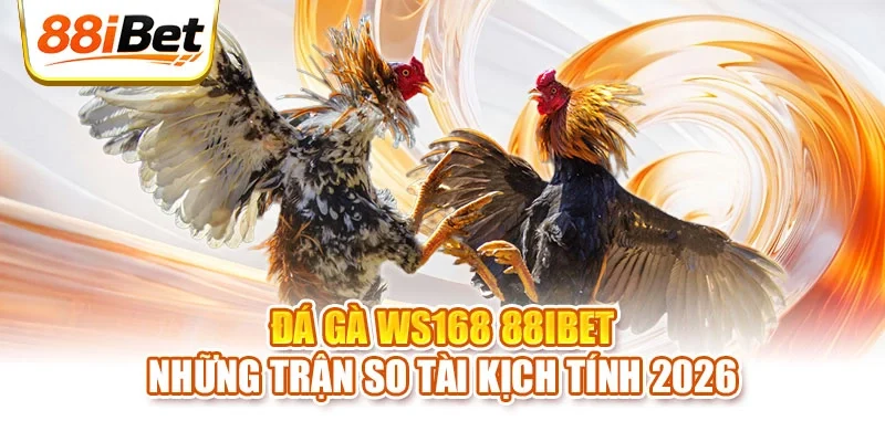 Đá gà WS168